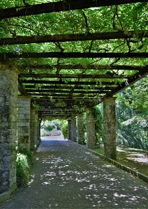 pergolato, ombra, verde, colonne, piante, rami, travi, pianta, alberi, foglie, prospettiva, rampicante, pilastri, pietre, corridoio, ombre
