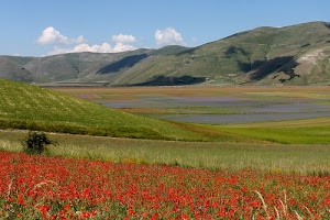 campi, nuvole, rosso, fiori, pianura, colline, papaveri, verde, cielo, azzurro, ombre, montagne, erba, castelluccio, bianco, agricoltura, piana, distesa, campagna, panorama, monti, montagna, coltivazioni