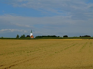campanile, chiesa, alberi, verde, cielo, campi, campo, nuvole, campagna, pianura, giallo, panorama, terra, rosso, tetto, azzurro, distesa