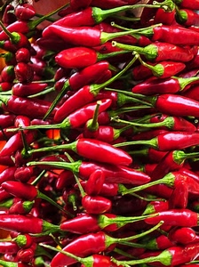 verde, peperoncini, rosso, piccante, verdura, gambo, rossi, cibo, bicolore