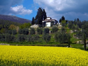 giallo, alberi, campo, collina, colza, nuvole, paesaggio, fiori, casa, campagna, verde, villa