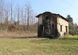 alberi, rudere, finestre, casa, erba, prato, casolare, inverno, campagna, rami, abbandono, cielo, verde, tetto, porte, azzurro, spogli, muri