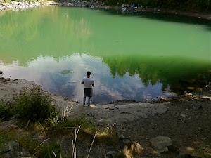 verde, pescatore, lago, acqua, riflesso, terra, alberi, sponda, canna, riflessi, pesca, cielo, laghetto, cespugli, uomo, pietre, cespuglio, nuvole, pescare