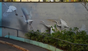 ali, muro, murales, volo, piante, bianco, uccelli, marciapiedi, verde, cicogne, ringhiera, murale, marciapiede, siepe, aironi, gru, corrimano, becco, graffiti, zampe