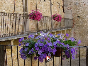 fiori, viola, vasi, balcone, ferro, ringhiera, porta, finestra, balconi, rosa, terrazzo, rosso, porte, angolo, muri, lampioni, inferriata