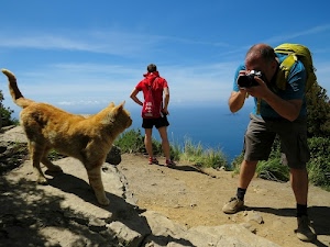 gatto, fotografo, mare, zaino, cielo, persone, rosso, fotografare, pietre, felino, fotografia, sentiero, due, animale, cespugli, uomini, macchina, micio, azzurro, persona, fotocamera, panorama, ombre