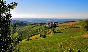verde, cielo, alberi, panorama, case, erba, campagna, colline, filari, prato, prati, campi, vigneti, pendio, paesaggio, vigne