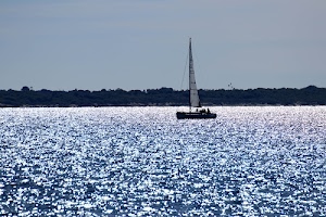 vela, barca, mare, luccichio, acqua, costa, controluce, riflessi, scintillio, alberi, orizzonte, bianco, luce, brillio, azzurro, lago