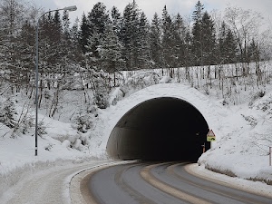 neve, strada, tunnel, alberi, inverno, bianco, lampione, arco, galleria, curva, segnale, abeti