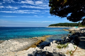 mare, nuvole, albero, scogli, alberi, acqua, rocce, cielo, costa, azzurro, blu