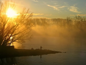 alberi, pescatore, lago, alba, sole, nebbia, tramonto, acqua, nuvole, cielo, rami, albero, raggi, inverno, controluce, pesca, foschia