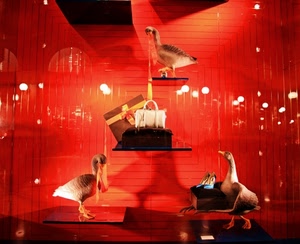vetrina, rosso, borse, oche, scarpe, riflessi, borsette, luci
