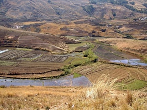 panorama, acqua, campi, paesaggio, risaie, terrazzamenti, coltivazioni, colline, verde, giallo, laghi, alberi