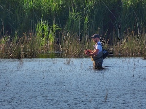 pescatore, canna, acqua, verde, zaino, pesca, fiume, canne, lago, cappello, azzurro, berretto, barba, piante, uomo, mulinello, canneto