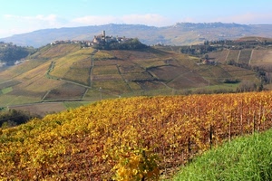 autunno, colline, giallo, paesaggio, viti, collina, panorama, vigneti, vigna, paese, vite