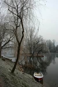 barca, acqua, alberi, riflesso, lago, fiume, inverno, riflessi, albero, nebbia, ponte, rami