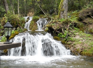 cascata, acqua, lampione, bosco, alberi, torrente, verde, lampada, schiuma