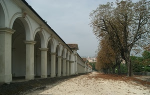 alberi, archi, portici, colonne, portico, foglie, viale, prospettiva