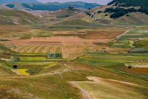 campi, panorama, verde, montagne, paesaggio, alberi, colline, erba, castelluccio, colori, pianura, coltivazioni