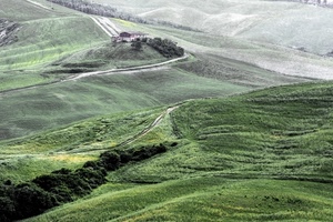verde, colline, paesaggio, campi, casa, strade, alberi, panorama, collina, strada