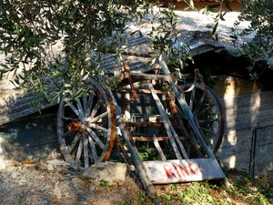 ruote, carro, rami, carretto, verde, legno, baracca