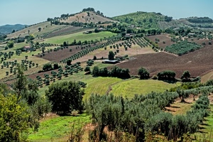colline, alberi, verde, campi, panorama, paesaggio, prati, cielo