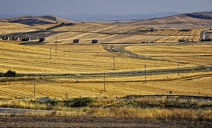 campi, campagna, panorama, giallo, pali, colline, strada, grano, paesaggio, tralicci