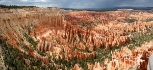 panorama, rocce, alberi, verde, canyon, america, guglie, arancio, terra, rosso