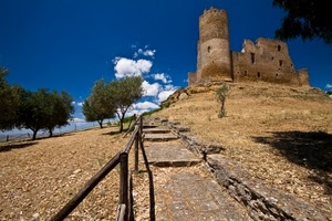 alberi, nuvole, castello, cielo, torre, sentiero, staccionata, rudere, gradini