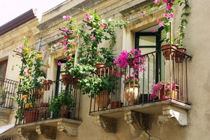 balconi, fiori, vasi, finestre, piante, porte, ringhiere, rosa