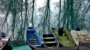 barche, alberi, lago, riflessi, riflesso, barca, blu, rami