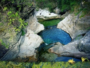 rocce, acqua, verde, piante, torrente, alberi, rami, pozze, fiori, ruscello