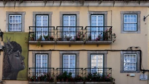 finestre, balconi, vetri, porte, murales, piante, facciata, palazzo, fiori