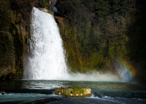 cascata, acqua, arcobaleno, piante, fiume, rocce, verde, roccia, schiuma, bianco