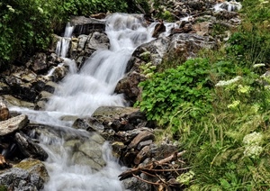 verde, acqua, cascata, rocce, erba, fiori, ruscello, bianco, piante, torrente, natura, rami, cespugli, pietre, foglie, fiume, sassi