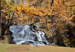 alberi, cascata, acqua, giallo, fiume, prato, autunno, rami, bosco