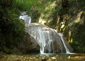 acqua, cascata, sassi, rocce, alberi, fiume, piante, torrente, verde, bosco