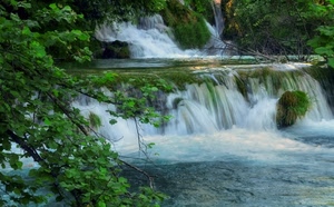 acqua, cascata, fiume, foglie, verde, alberi, rami, ramo, schiuma