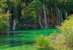 acqua, verde, cascate, fiume, cascata, foglie, alberi, erba, natura, lago, rami, piante