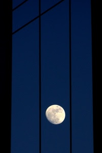 luna, blu, finestra, cielo, notte, inferriata, sbarre, bianco