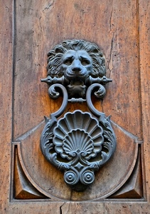 batacchio, leone, porta, legno, ferro, battente, conchiglia, portone, metallo