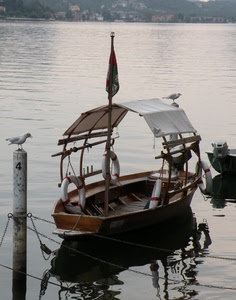 barca, lago, bandiera, acqua, uccelli, palo, gabbiani, riflesso, mare, gabbiano, catene
