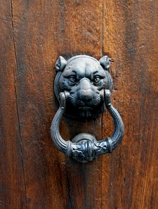 batacchio, porta, legno, leone, metallo, ferro, muso, portone, animale