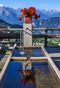fontana, fiori, riflesso, acqua, vaso, montagne, rosso, riflessi, montagna, staccionata