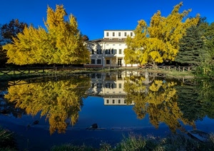 alberi, riflesso, lago, acqua, giallo, casa, villa, riflessi, parco, azzurro, cielo