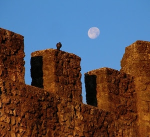 luna, merli, cielo, mura, castello, uccello, azzurro, pietre, pietra, piccione