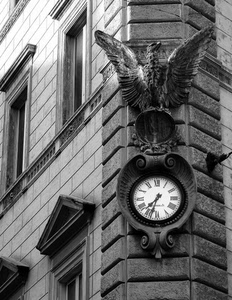 orologio, aquila, palazzo, ali, numeri, lancette, romani, ore, angolo, finestre, bianconero