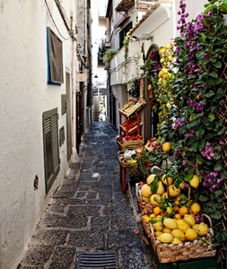 limoni, vicolo, frutta, fiori, cassette, finestre, giallo, negozio, ceste, persiane, cesti, verde, bancarella, foglie, strada, porte, frutti, tombino, fruttivendolo