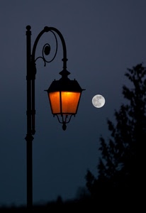 lampione, luna, notte, luce, piena, albero, arancione