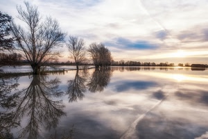 acqua, alberi, nuvole, riflessi, riflesso, cielo, lago, rami, tramonto, piante